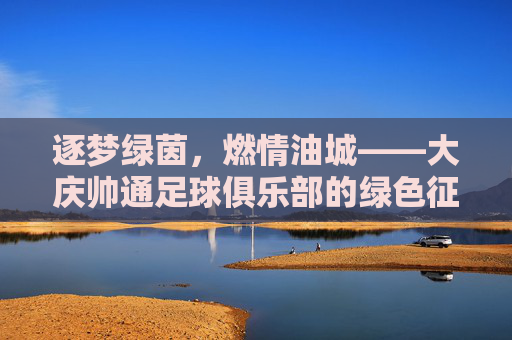 逐梦绿茵，燃情油城——大庆帅通足球俱乐部的绿色征程，大庆帅通，逐梦绿茵的油城绿色征程