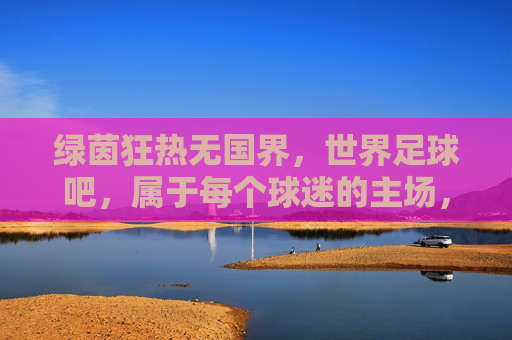 绿茵狂热无国界,世界足球吧,属于每个球迷的主场,绿茵狂热无国界,球迷主场