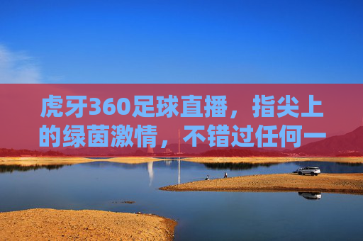 虎牙360足球直播,指尖上的绿茵激情,不错过任何一场精彩,虎牙360足球直播,指尖上的绿茵激情,不错过每一场精彩