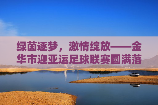 绿茵逐梦，激情绽放——金华市迎亚运足球联赛圆满落幕，绿茵逐梦激情绽放 金华市迎亚运足球联赛圆满落幕