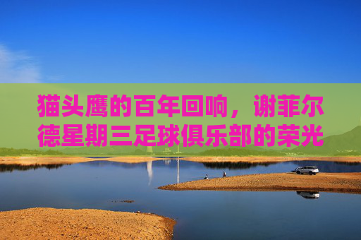 猫头鹰的百年回响,谢菲尔德星期三足球俱乐部的荣光与坚守,谢菲尔德星期三,猫头鹰百年的荣光与坚守