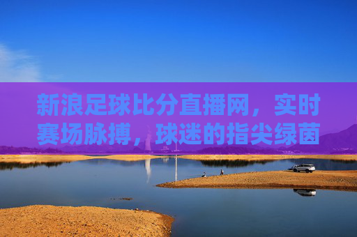 新浪足球比分直播网,实时赛场脉搏,球迷的指尖绿茵场,新浪足球直播,实时赛场脉搏,球迷指尖绿茵场