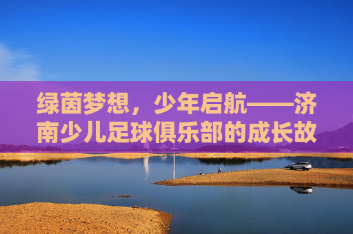 绿茵梦想,少年启航——济南少儿足球俱乐部的成长故事,绿茵梦想,少年启航——济南少儿足球俱乐部的成长故事