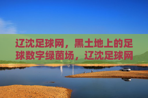 辽沈足球网,黑土地上的足球数字绿茵场,辽沈足球网,黑土地上的数字绿茵场