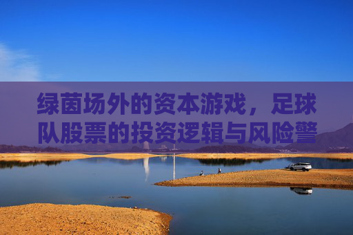 绿茵场外的资本游戏,足球队股票的投资逻辑与风险警示,绿茵场外的资本游戏,足球队股票的投资逻辑与风险警示
