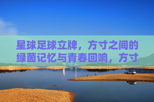 星球足球立牌，方寸之间的绿茵记忆与青春回响，方寸绿茵，青春回响