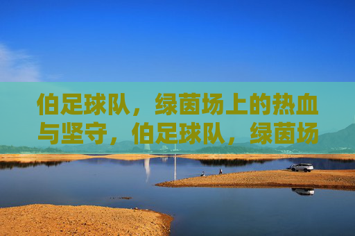 伯足球队,绿茵场上的热血与坚守,伯足球队,绿茵场上的热血坚守
