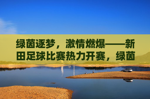 绿茵逐梦，激情燃爆——新田足球比赛热力开赛，绿茵逐梦，新田足球激情燃爆开赛
