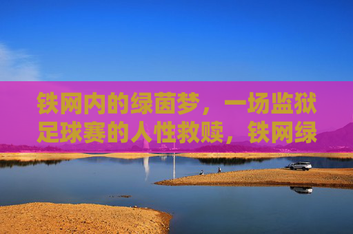 铁网内的绿茵梦,一场监狱足球赛的人性救赎,铁网绿茵,人性救赎的赛场
