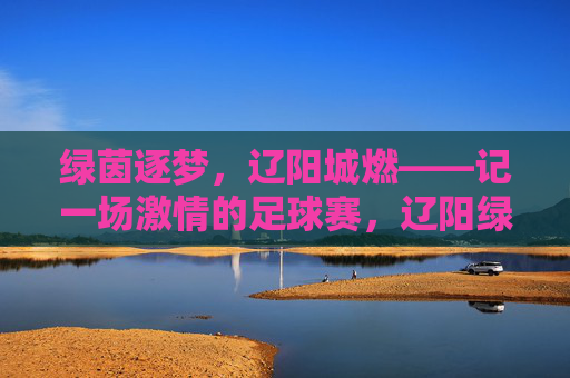 绿茵逐梦，辽阳城燃——记一场激情的足球赛，辽阳绿茵逐梦，足球激情燃城