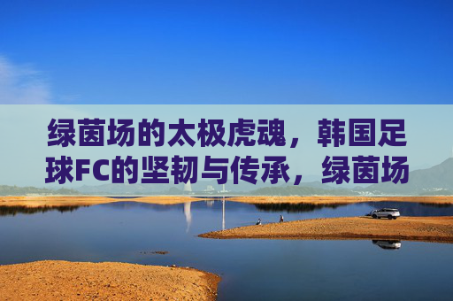 绿茵场的太极虎魂,韩国足球FC的坚韧与传承,绿茵场的太极虎魂,韩国足球的坚韧传承