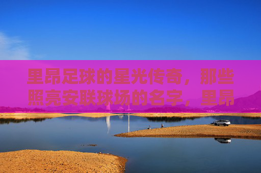 里昂足球的星光传奇,那些照亮安联球场的名字,里昂足球的星光传奇,照亮安联球场的名字