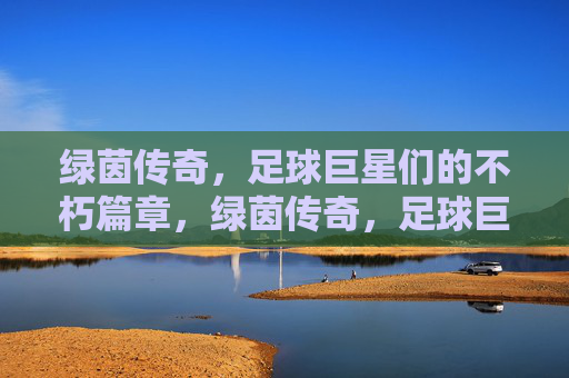 绿茵传奇，足球巨星们的不朽篇章，绿茵传奇，足球巨星的不朽篇章