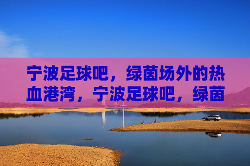 宁波足球吧,绿茵场外的热血港湾,宁波足球吧,绿茵场外的热血港湾
