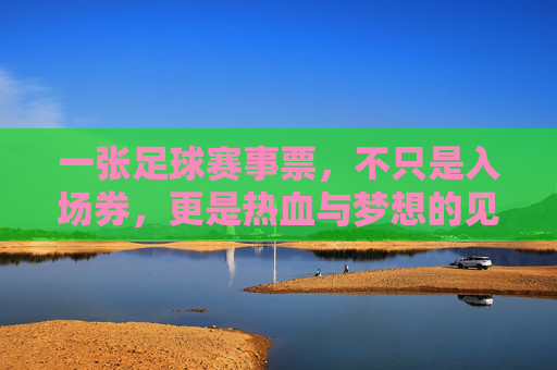 一张足球赛事票，不只是入场券，更是热血与梦想的见证，一张足球票，热血与梦想的见证