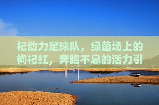 杞动力足球队,绿茵场上的枸杞红,奔跑不息的活力引擎,杞动力,绿茵枸杞红,活力引擎