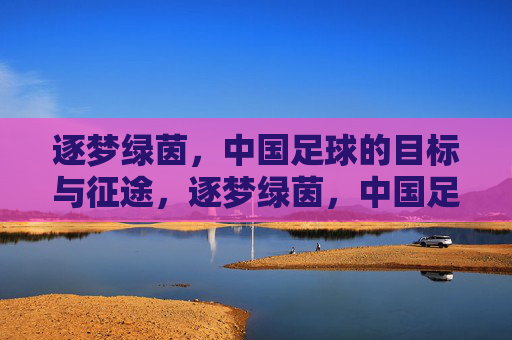 逐梦绿茵，中国足球的目标与征途，逐梦绿茵，中国足球的目标与征途