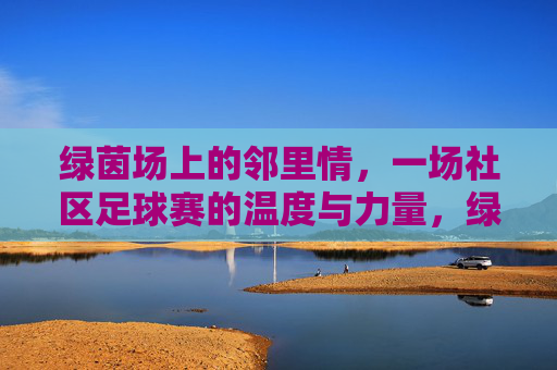 绿茵场上的邻里情,一场社区足球赛的温度与力量,绿茵场上的邻里情,社区足球赛的温度与力量