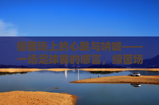 绿茵场上的心跳与呐喊——一场足球赛的感言,绿茵场上的心跳与呐喊,足球赛感言
