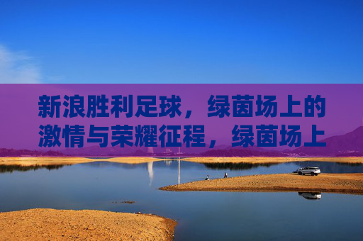 新浪胜利足球，绿茵场上的激情与荣耀征程，绿茵场上的激情与荣耀征程
