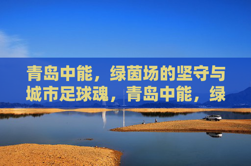 青岛中能,绿茵场的坚守与城市足球魂,青岛中能,绿茵坚守与城市足球魂