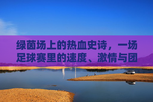 绿茵场上的热血史诗，一场足球赛里的速度、激情与团队，绿茵热血史诗，速度、激情与团队的交响