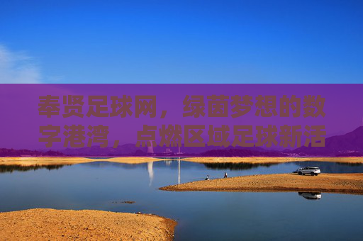奉贤足球网，绿茵梦想的数字港湾，点燃区域足球新活力，奉贤足球网，绿茵梦想的数字港湾，点燃区域足球新活力
