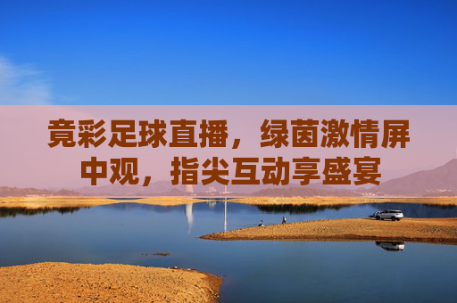 竟彩足球直播,绿茵激情屏中观,指尖互动享盛宴