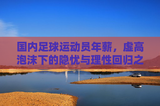 国内足球运动员年薪,虚高泡沫下的隐忧与理性回归之路,国内足球运动员年薪,虚高泡沫隐忧与理性回归