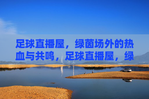 足球直播屋，绿茵场外的热血与共鸣，足球直播屋，绿茵场外的热血共鸣