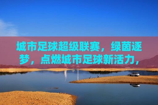 城市足球超级联赛，绿茵逐梦，点燃城市足球新活力，城市足球超级联赛，绿茵逐梦点燃新活力