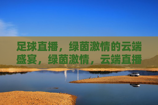 足球直播，绿茵激情的云端盛宴，绿茵激情，云端直播盛宴