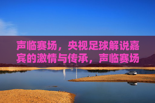 声临赛场，央视足球解说嘉宾的激情与传承，声临赛场，央视足球解说嘉宾的激情与传承