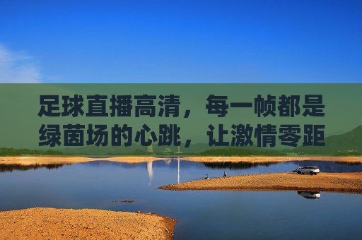 足球直播高清，每一帧都是绿茵场的心跳，让激情零距离，帧帧绿茵心跳，高清直播零距离