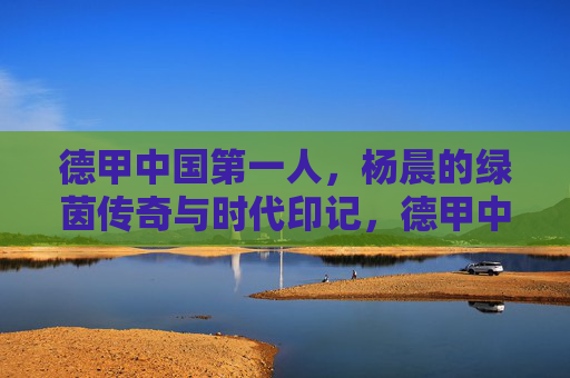 德甲中国第一人,杨晨的绿茵传奇与时代印记,德甲中国第一人杨晨,绿茵传奇与时代印记