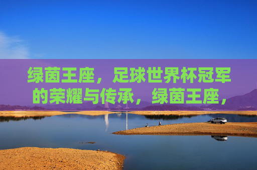 绿茵王座,足球世界杯冠军的荣耀与传承,绿茵王座,世界杯冠军的荣耀与传承