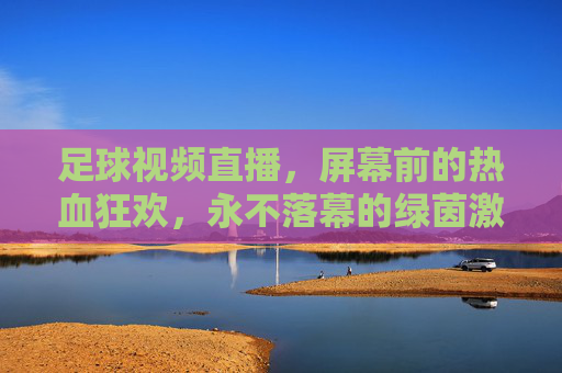 足球视频直播,屏幕前的热血狂欢,永不落幕的绿茵激情,直播热血,永不落幕的绿茵激情