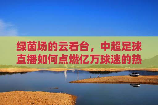绿茵场的云看台，中超足球直播如何点燃亿万球迷的热情，中超直播云看台点燃亿万球迷热情