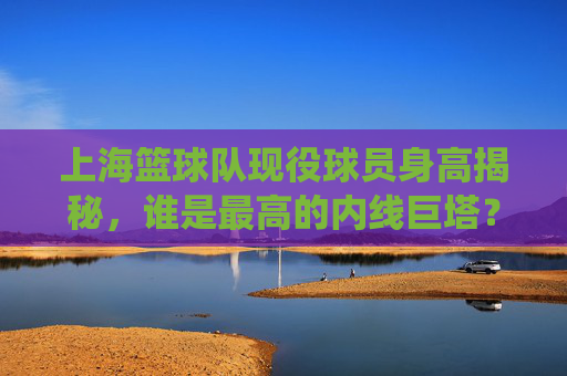上海篮球队现役球员身高揭秘,谁是最高的内线巨塔?上海篮球队现役球员身高揭秘,谁是最高的内线巨塔?