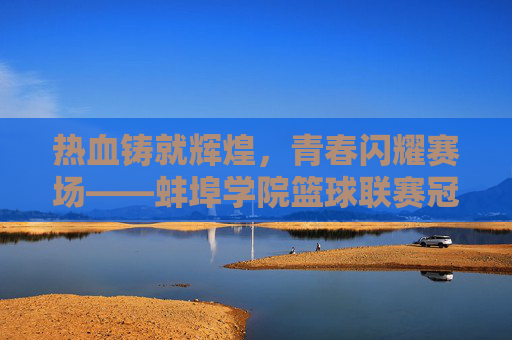 热血铸就辉煌，青春闪耀赛场——蚌埠学院篮球联赛冠军诞生记，热血青春耀赛场，蚌埠学院篮球联赛夺冠