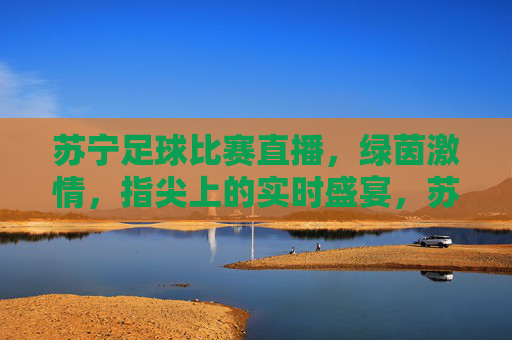 苏宁足球比赛直播,绿茵激情,指尖上的实时盛宴,苏宁足球直播,指尖上的绿茵激情盛宴
