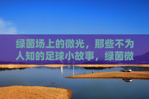 绿茵场上的微光,那些不为人知的足球小故事,绿茵微光,不为人知的足球小故事