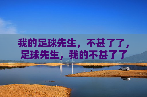 我的足球先生，不甚了了，足球先生，我的不甚了了