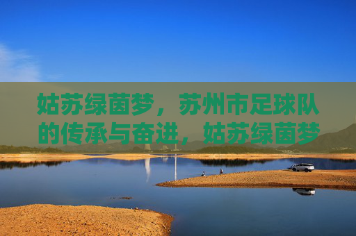 姑苏绿茵梦,苏州市足球队的传承与奋进,姑苏绿茵梦,传承奋进的苏州足球队
