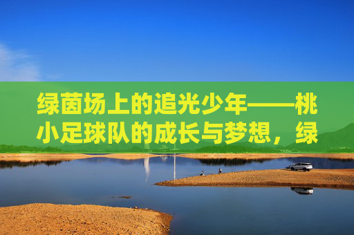 绿茵场上的追光少年——桃小足球队的成长与梦想,绿茵场上的追光少年,桃小足球队的成长与梦想