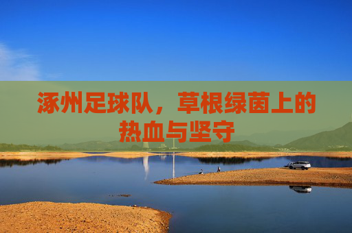 涿州足球队,草根绿茵上的热血与坚守
