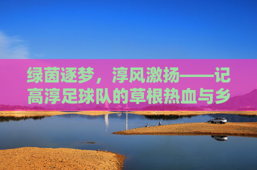 绿茵逐梦，淳风激扬——记高淳足球队的草根热血与乡土情怀，绿茵逐梦，淳风激扬——高淳草根足球队的乡土情怀