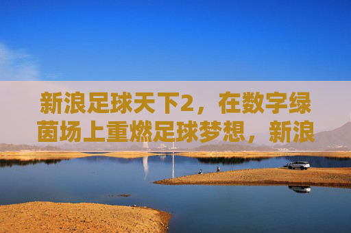 新浪足球天下2,在数字绿茵场上重燃足球梦想,新浪足球天下2,数字绿茵场重燃足球梦想