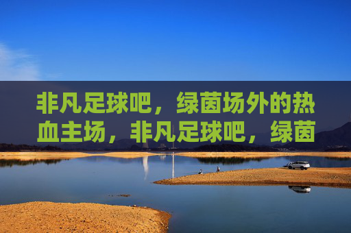 非凡足球吧,绿茵场外的热血主场,非凡足球吧,绿茵场外的热血主场