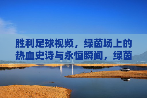 胜利足球视频，绿茵场上的热血史诗与永恒瞬间，绿茵热血史诗，胜利足球的永恒瞬间